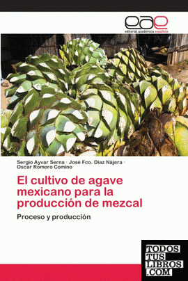 El cultivo de agave mexicano para la producción de mezcal