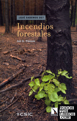 Incendios forestales : una visión desde la ecología