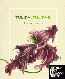 Tulipa tulipae : el tulipán ilustrado