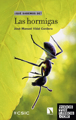 Proyecto Las hormigas ¡Me interesa! 