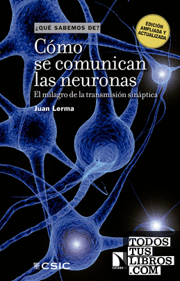 Cómo se comunican las neuronas : el milagro de la transmisión sináptica