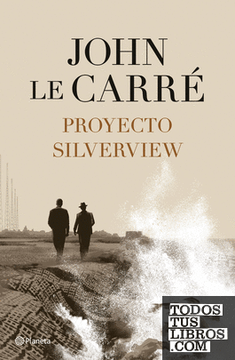 Proyecto Silverview