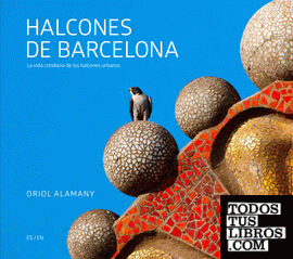 Halcones de Barcelona - Barcelona Falcons
