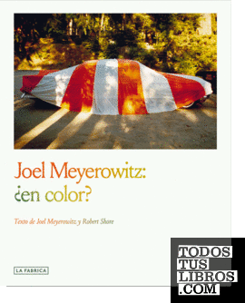 Joel Meyerowitz:¿en color?
