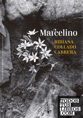 Marcelino Marcelino