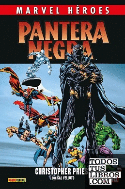 Marvel heroes 110 pantera negra 2
