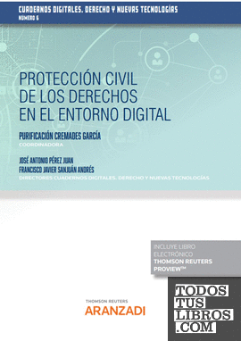Protección civil de los derechos en el entorno digital (Papel + e-book)