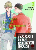 The night beyond the tricornered window n.7