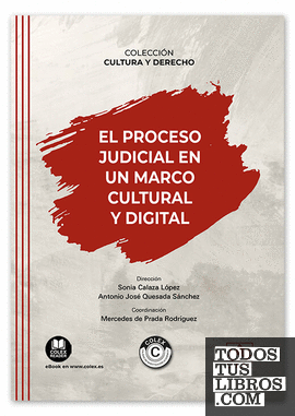 El proceso judicial en un marco cultural y digital