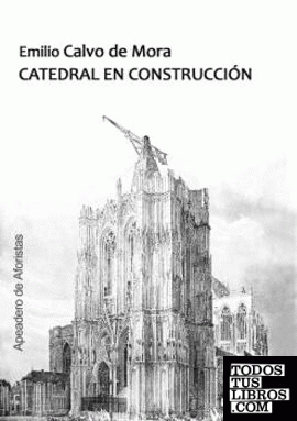 Catedral en construcción