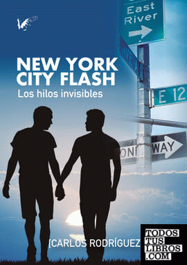 New York City Flash