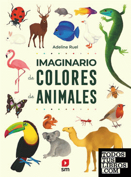 Imaginario de colores de animales