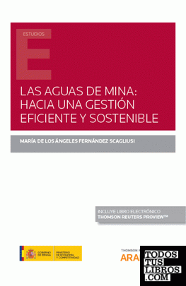 Las aguas de mina: hacia una gestión eficiente y sostenible (Papel + e-book)