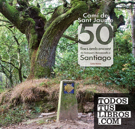 Camí de Sant Jaume: 50 llocs amb encant de Somport i Roncesvalls a Santiago