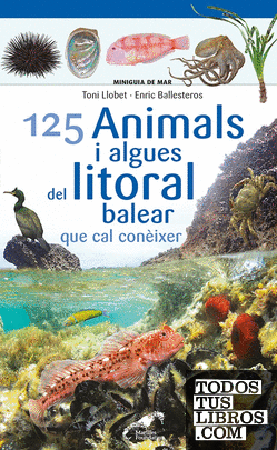 125 Animals i algues del litoral balear que cal conèixer