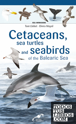 Cetaceans, sea turtles and seabirds of the Balearic Sea