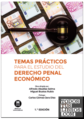 Temas prácticos para el estudio del derecho penal económico