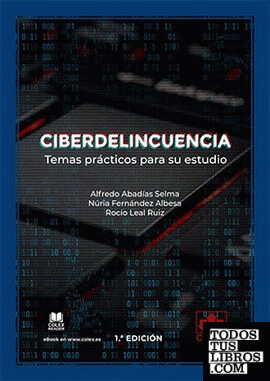 Ciberdelincuencia: temas prácticos para su estudio