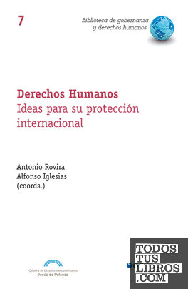 Derechos humanos. Ideas para su protección internacional