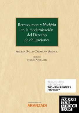 Retraso, mora y Nachfrist en la modernización del Derecho de obligaciones (Papel + e-book)