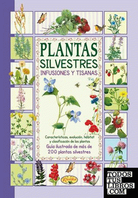 Plantas silvestres infusiones y tisanas