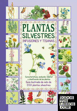 Plantas silvestres: infusiones y tisanas