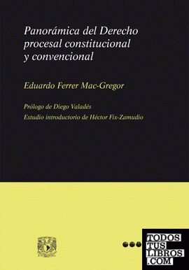 Panorámica del Derecho procesal constitucional y convencional