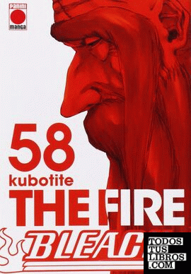 Bleach, 58. The fire