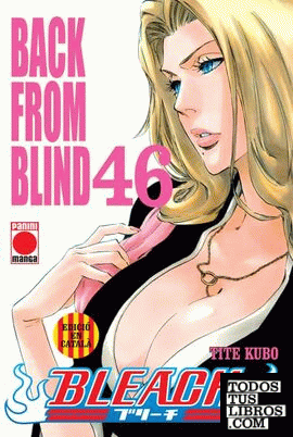 Bleach 46 Català. Back From Blind