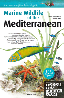 Marine Wildlife of the Mediterranean
