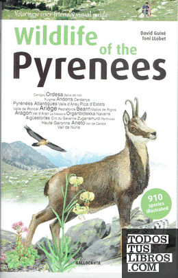 Wildlife of the Pyrenees