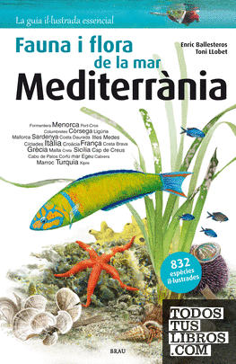 Fauna i flora de la mar Mediterrània