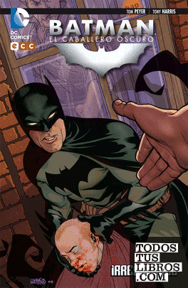 Batman: El caballero oscuro - Irresistible