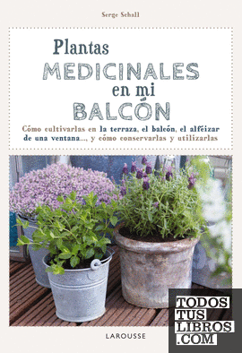 Plantas medicinales en mi balcón