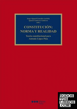 Constitución: norma y realidad