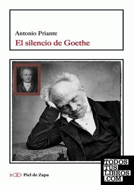 El silencio de Goethe