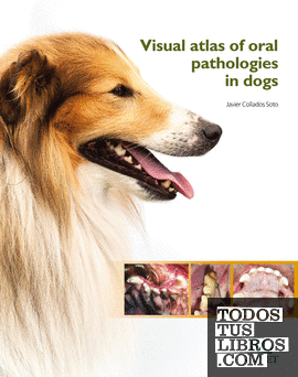 Visual atlas of oral pathologies in dogs