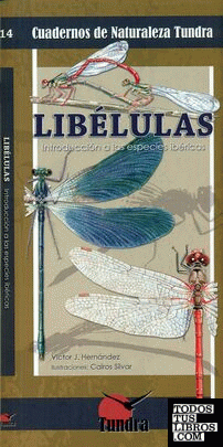 Libélulas: introducción a las especies ibéricas