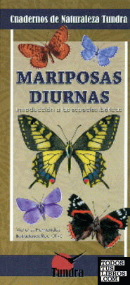 Mariposas diurnas