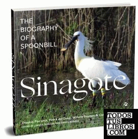 Sinagote, the biography of a spoonbill