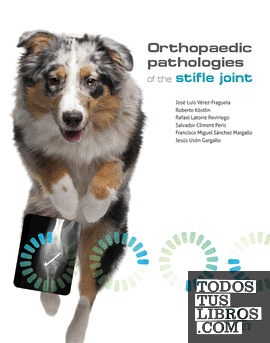 Orthopaedic pathologies of the stifle joint