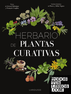 Herbario De Plantas Silvestres de Vignes, Pierre / Vignes, Délia  978-84-17720-60-5
