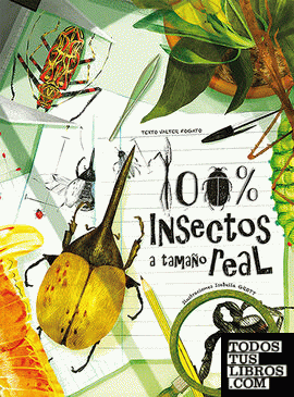 100% Insectos a tamaño real