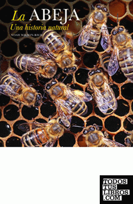 La abeja. Una historia natural