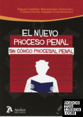 El nuevo proceso penal sin Código Procesal Penal