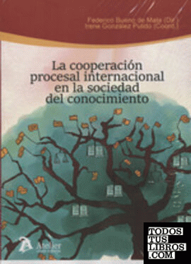 La cooperación procesal internacional en la sociedad del conocimiento.