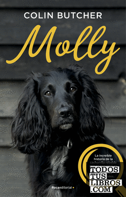 Molly – Colin Butcher  978841754103