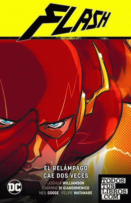 Flash vol. 01: El relámpago cae dos veces