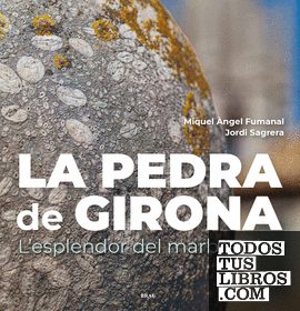 La pedra de Girona
