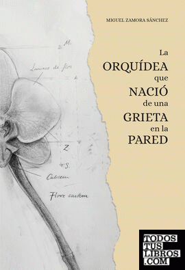 La orquídea que nació de una grieta en la pared